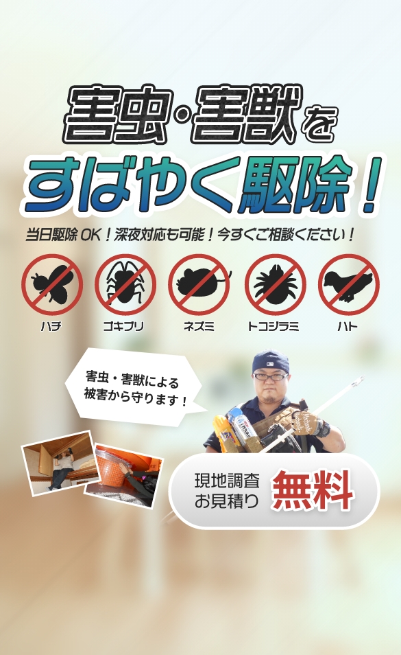 害虫・害獣をすばやく駆除|当日駆除OK、深夜対応も可能、今すぐご相談ください！現地調査お見積もり無料