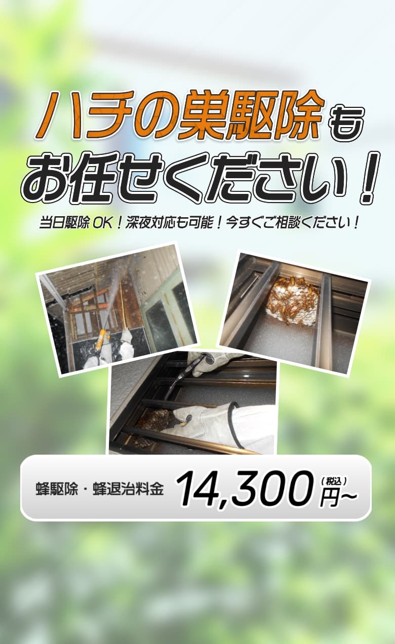 蜂の巣駆除もお任せください！|当日駆除OK、深夜対応も可能、今すぐご相談ください！