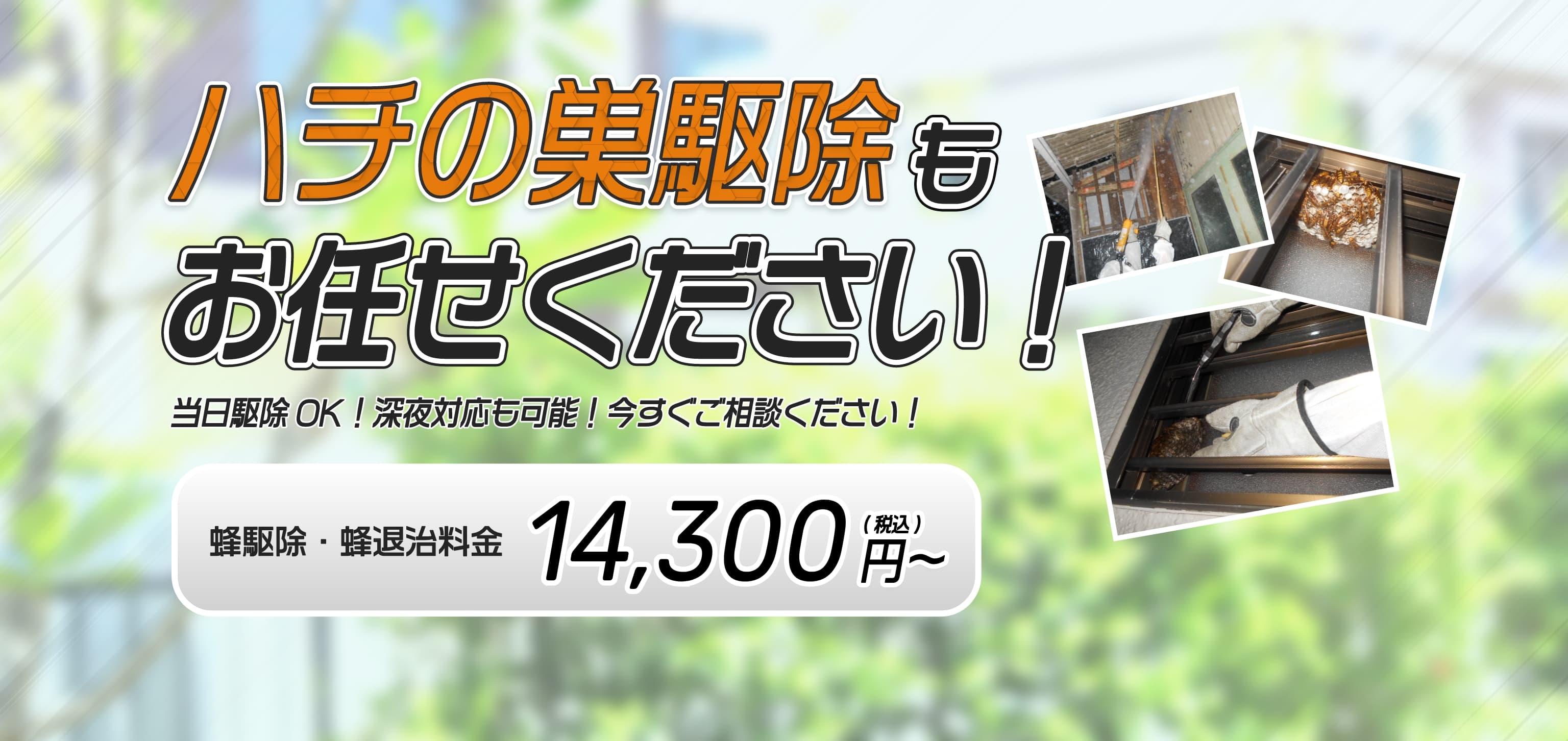 蜂の巣駆除もお任せください！|当日駆除OK、深夜対応も可能、今すぐご相談ください！