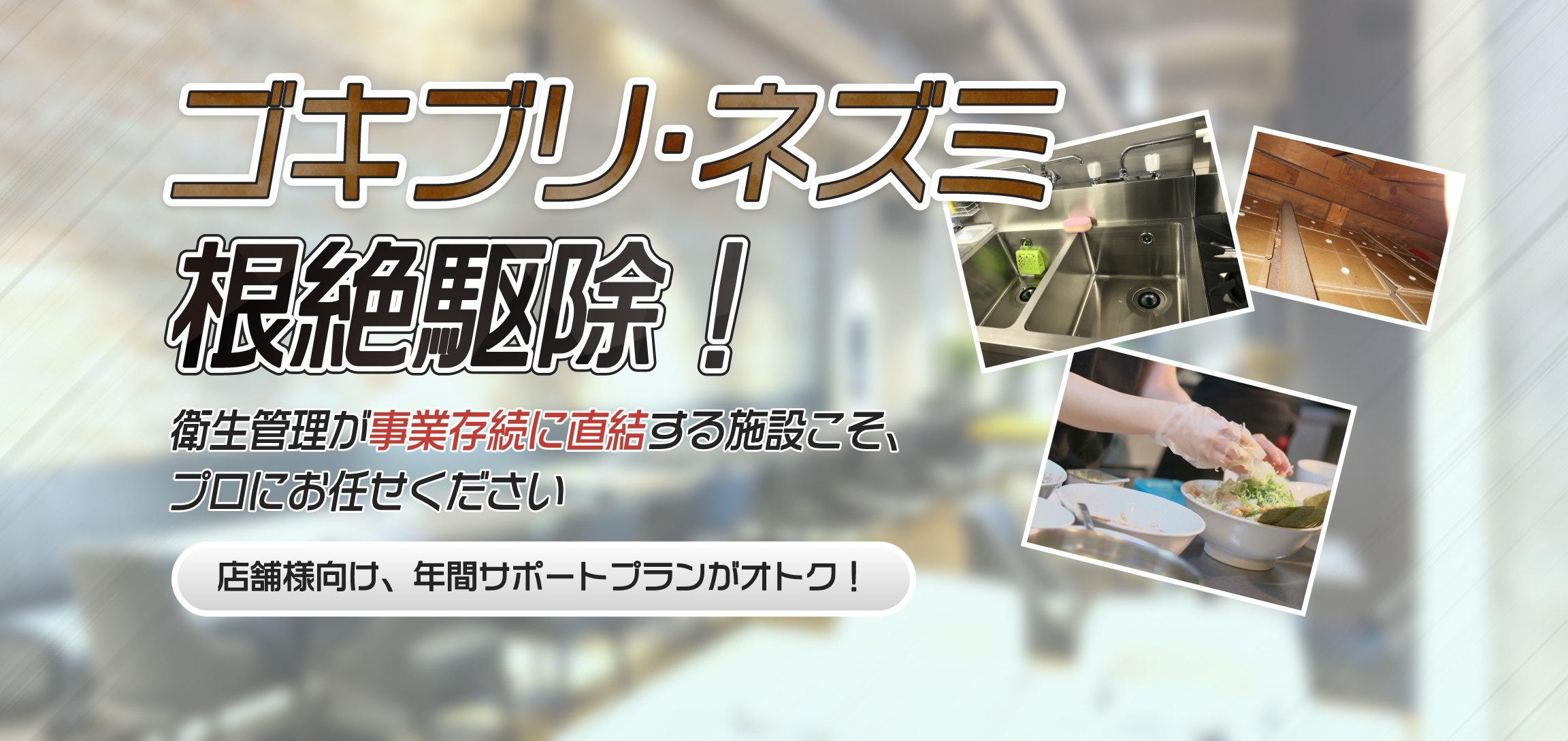 ゴキブリ・ネズミ根絶駆除！衛生管理が事業存続に直結する施設こそ、プロにお任せください！店舗様向け、年間サポートプランがオトク！